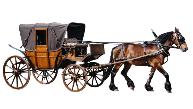Horse pulling ornate wooden carriage with dark fabric canopy
