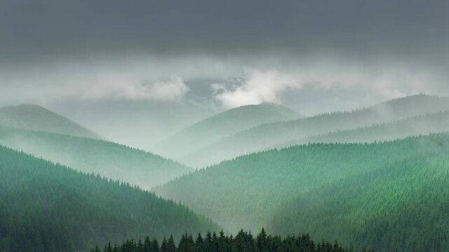 Misty green forested mountains under cloudy sky with foggy atmospheric landscape view