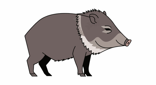 A simplified, stylized illustration of a peccary standing