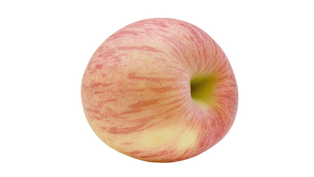 Red and yellow striped apple with stem indent
