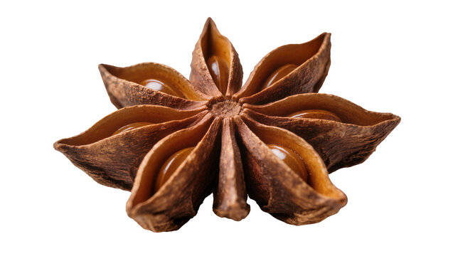 Star Anise Spice Pod with Seeds