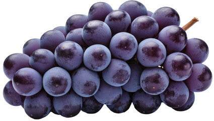 Dark purple grapes cluster with stem © Natalia