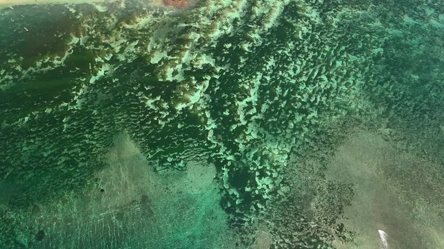 Vertical drone view shows coral reef shallows turquoise water texture and rock patches for tropical marine background ocean conservation and island travel visuals