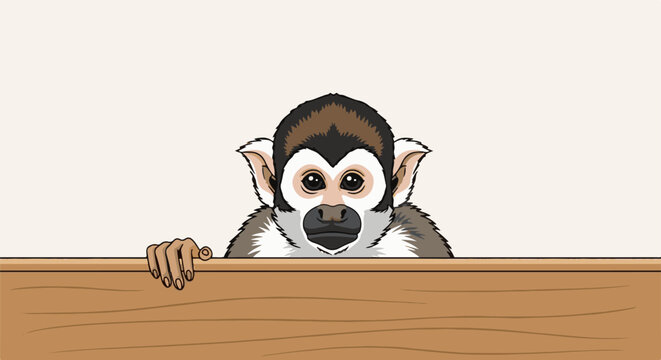 A curious monkey peeks over a wooden barrier, its face front and center
