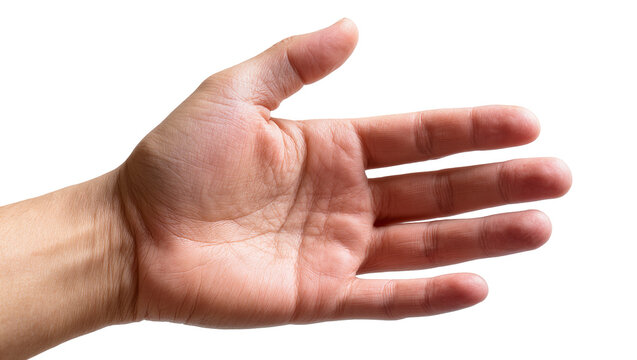 Open palm with fingers spread, human hand showing skin texture