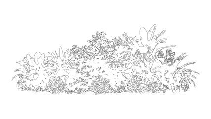 Obraz premium Top view line art drawing of decorative garden plant for architectural landscape design.