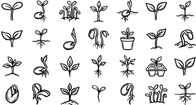 Nature  Gardening Plant Growth Icons: Hand-Drawn Black and White Line Art Seedlings, Sprouts, Seeds  Development Stages Vector Set