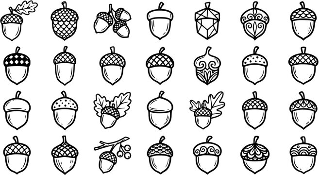 Hand-drawn Autumn Acorns Black and White Line Art Icon Set. Stylized Doodle Oak Nuts for Fall Season Harvest and Nature Designs.