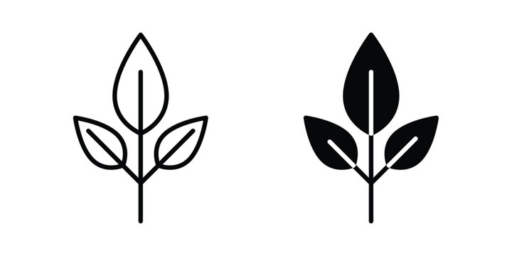 Tea leaves icon clipart and thin stroke versions pack