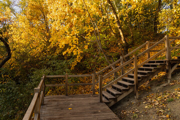 Fototapeta premium Wooden staircase ascends through vibrant golden autumn foliage in a forest