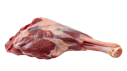 Raw lamb shank with bone and fat © Andrei