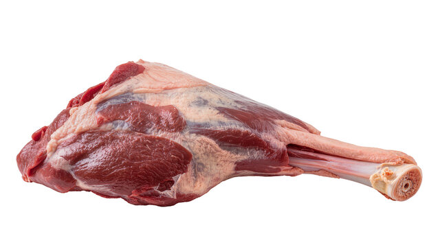 Raw lamb shank with bone and fat