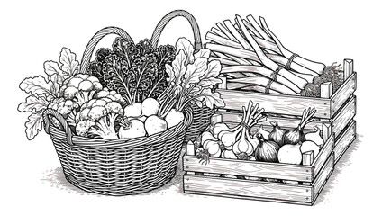 Vintage woodcut vegetable harvest illustration, rustic wicker basket and wooden crates with organic farm produce, hand drawn engraving style vector © Nadidon