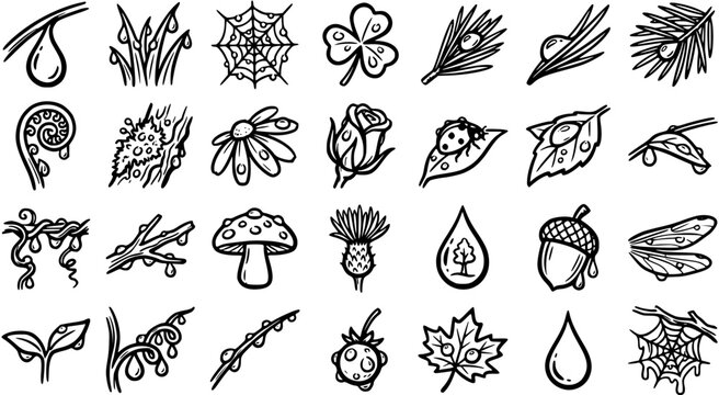 Black and White Line Art Icons of Nature Elements: Water Drops, Plants, Insects, Fungi, and Acorns