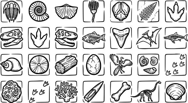 Paleontology Fossils  Dinosaurs Black and White Line Art Icon Set. Prehistoric Creatures, Skulls, and Artifacts for Science  Archaeology Education.