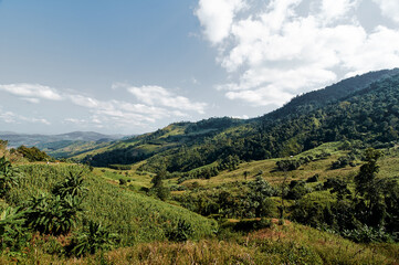 Fototapeta premium Green mountain valley with fields and forested hills under scattered clouds, panoramic rural landscape.