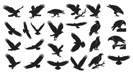 Obraz premium Majestic Eagle Silhouettes and Bird of Prey Collection