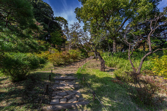Atmospheric stone steps and walkway surrounded by trees at Rikugien Garden November 2023
