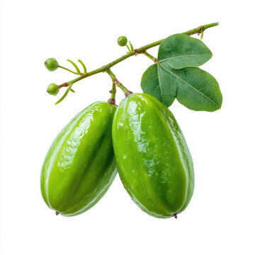 Green bilimbi fruit with leaves on white background