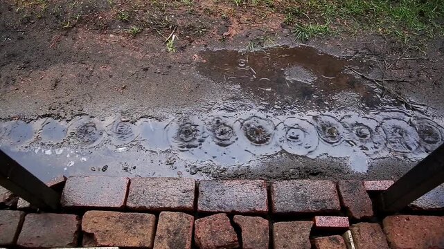 Rain drops fall into long muddy puddle on dirt path. Ripples and splashes form. Brown bricks line bottom. Wet ground, sparse green grass. Outdoor day scene.