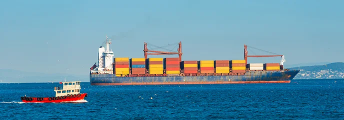 Container ship, cargo ship with many containers entering harbor port, sea cargo panorama © Pavlo Vakhrushev