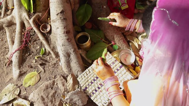 married woman in colorful saree conducting traditional pooja beside holy tree