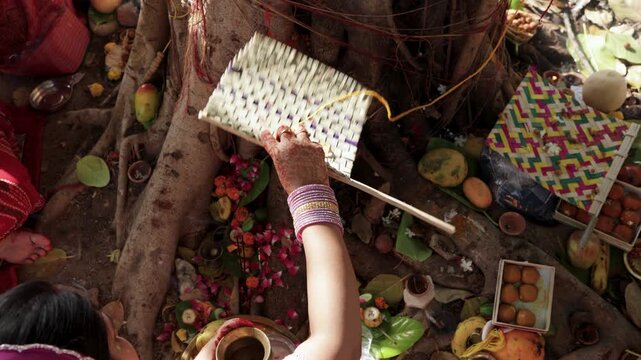 hindu married woman worshipping banyan tree during vat savitri festival ritual