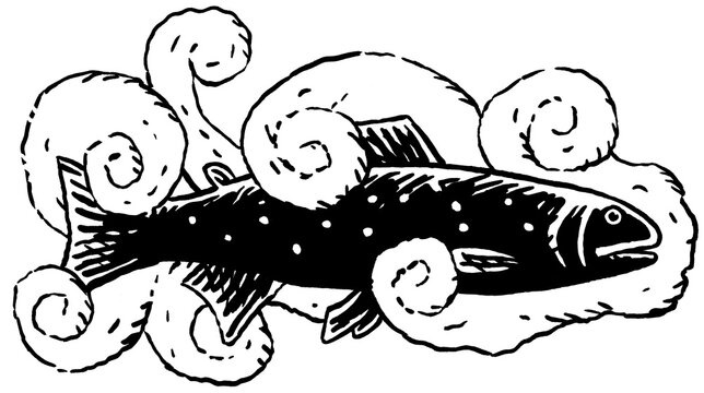 Ger&auml;ucherte Forelle in Rauch, Schwarz-Wei&szlig;-Illustration