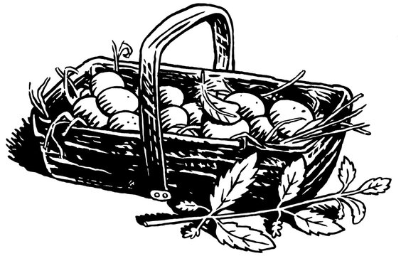 Korb mit Eiern und Brennnessel, Schwarz-Wei&szlig;-Illustration