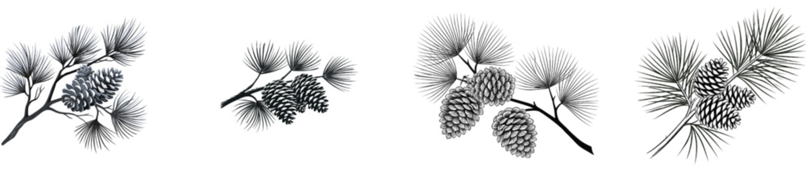A minimalist botanical illustration of a pine branch with two pinecones, rendered in high-contrast black line art on a stark white background