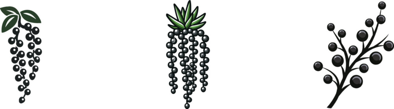 A bold graphic silhouette of String of Pearls succulent botanical emblem, rendered in solid black ink against a pure white background, features clean sharp contours and high contrast for an optimized