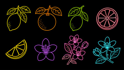 Fototapeta premium Neon citrus fruits and blossoms collection on black background