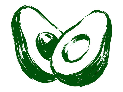 Hand drawn avocado halves vector illustration. Green brush stroke fruit sketch. Healthy organic food concept. Minimalist line art graphic.
