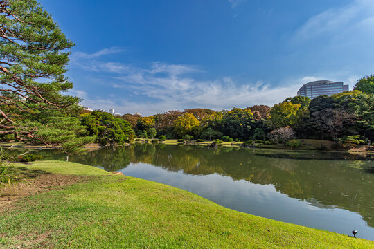 Scenic view of the large pond and beautiful green lawn at Rikugien Garden in autumn November 2023