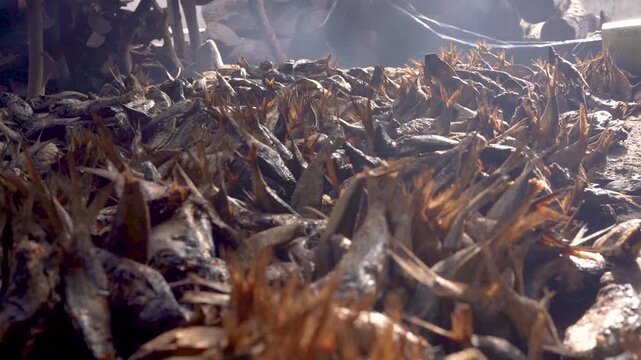 close up of dried fish in Senegal in west africa in smoking area, part of african diet and nutrition for the african population