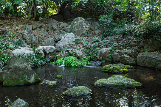 Close-up of a small waterfall cascading over mossy rocks into a quiet pond at Rikugien Garden November 2023