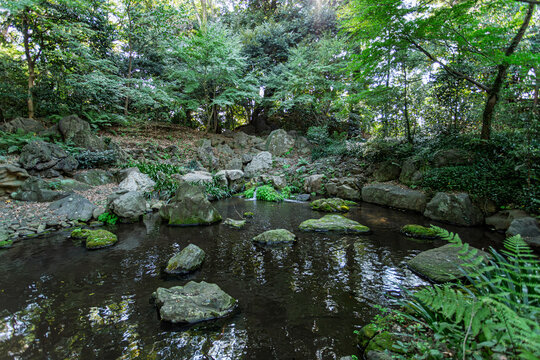 Traditional rockery pond and a small waterfall surrounded by lush greenery at Rikugien Garden November 2023