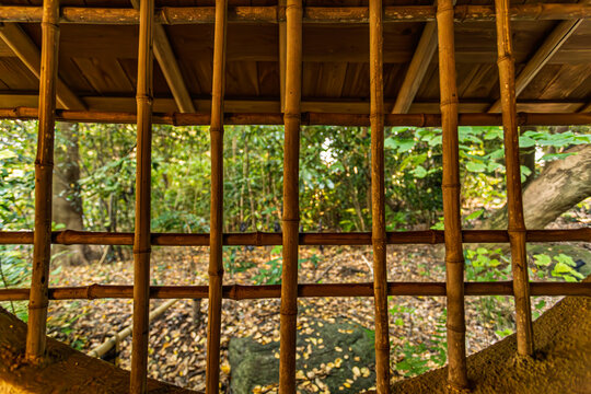 Scenic view of the garden framed through a traditional Japanese bamboo lattice window at Rikugien November 2023