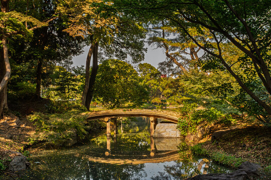 A beautiful wooden bridge perfectly reflected on the calm water at Rikugien Garden November 2023