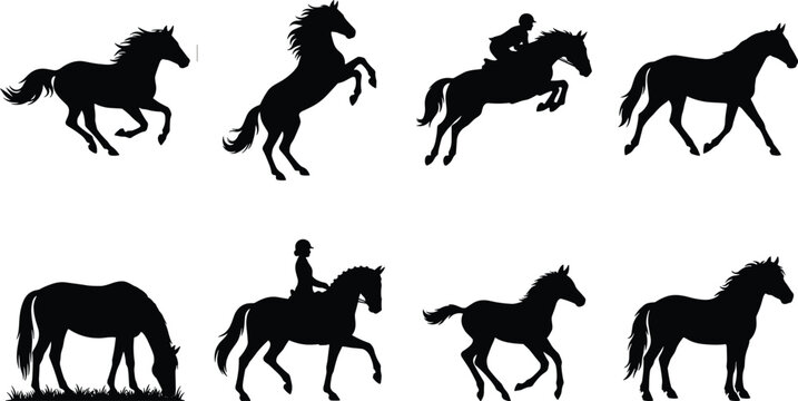 Black horse silhouettes set including running rearing jumping stallion with rider and grazing foal isolated on white background