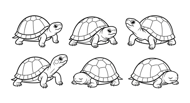 Cute Cartoon Turtles Set, Adorable Tortoise Illustrations