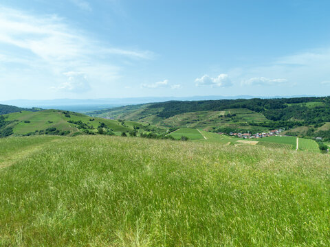 Lush Green Rolling Hills