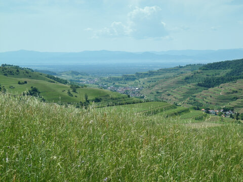 Scenic View of Green Terraced Hills