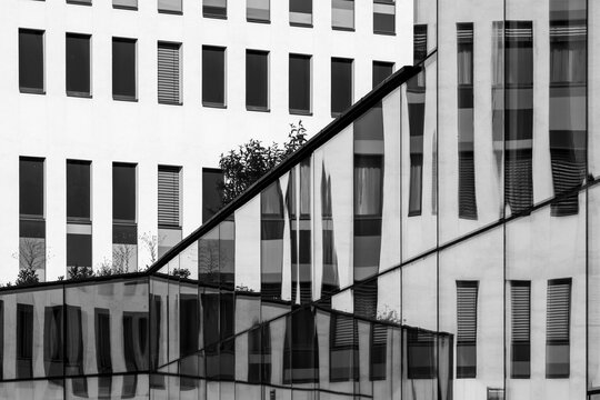 Black and white photograph frames white facade, glass reflection and tree silhouette, where urban architecture becomes abstract pattern