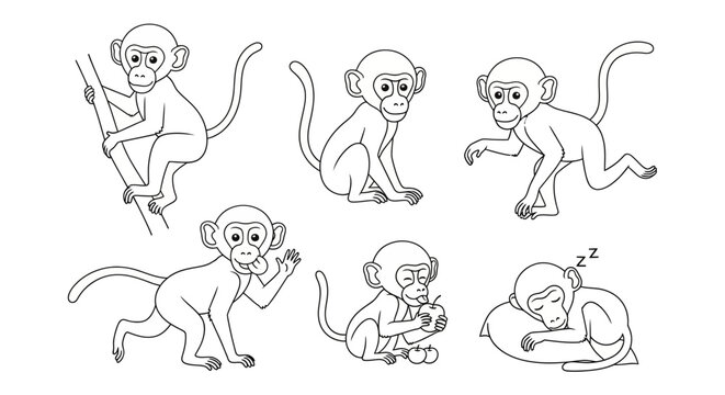 Cute Monkey Character Set in Various Poses, Vector Line Art