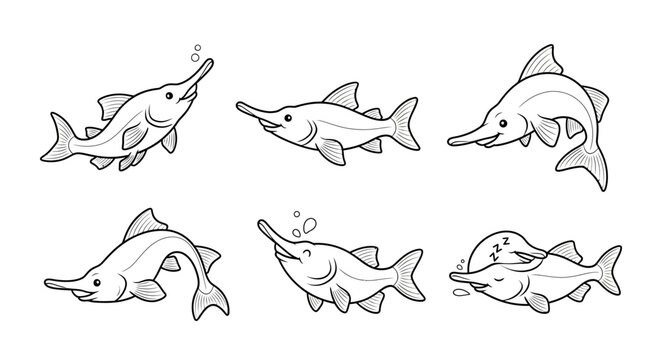 Cute Paddlefish Set in Various Poses, Hand Drawn Line Art