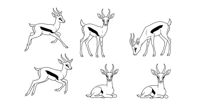 Springbok Antelope Poses Set, Black and White Line Art Illustration
