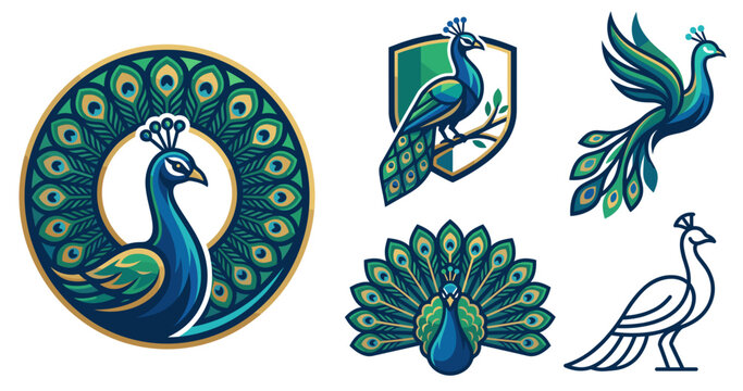 Colorful stylized peacock vector logo bundle with elegant vibrant bird mascots crest shields and circular badge emblems.