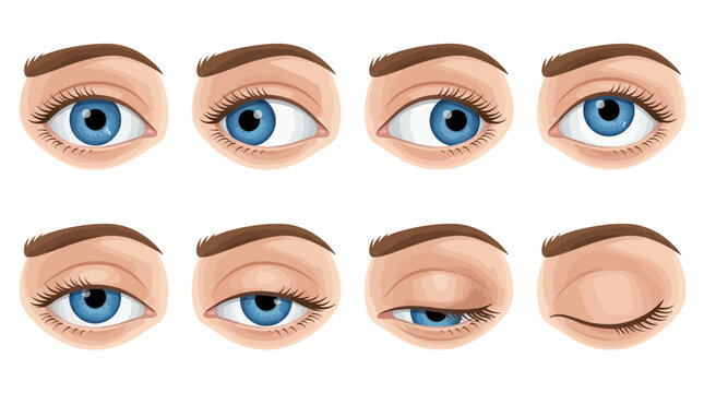 Realistic blue eye blinking sequence showing eyelid movement, detailed lashes, natural shading, anatomy study, human expression, motion, visual realism.
