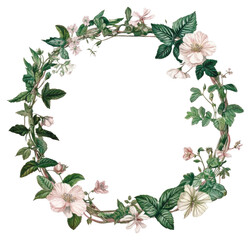 Fototapeta premium PNG Victorian art decorative botanical flowers.